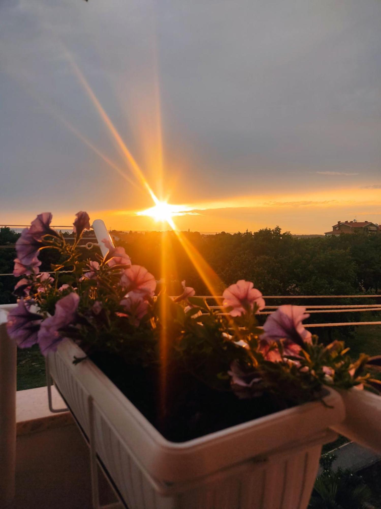 Adriatic Sunset View Appartement